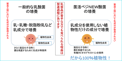 独自の製法により乳成分を含まない乳酸菌の誕生