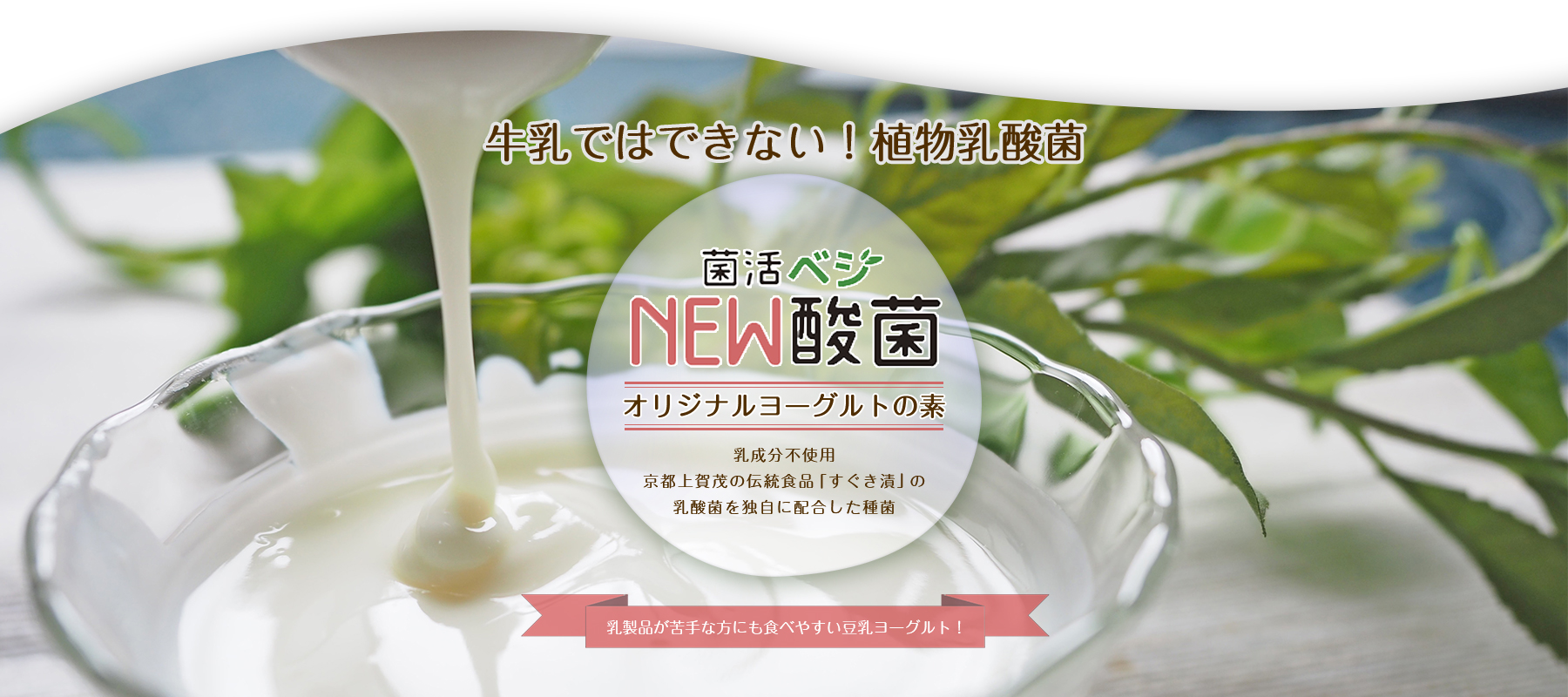 牛乳ではできない!祝物乳酸菌