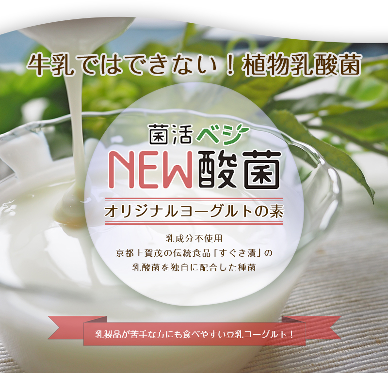 牛乳ではできない!祝物乳酸菌